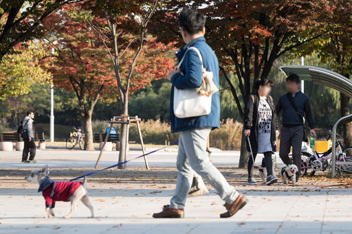 서울시내 한 공원에서 시민들이 반려견과 함께 산책을 하고 있다.