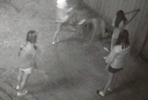 부산 여중생 집단폭행 장면