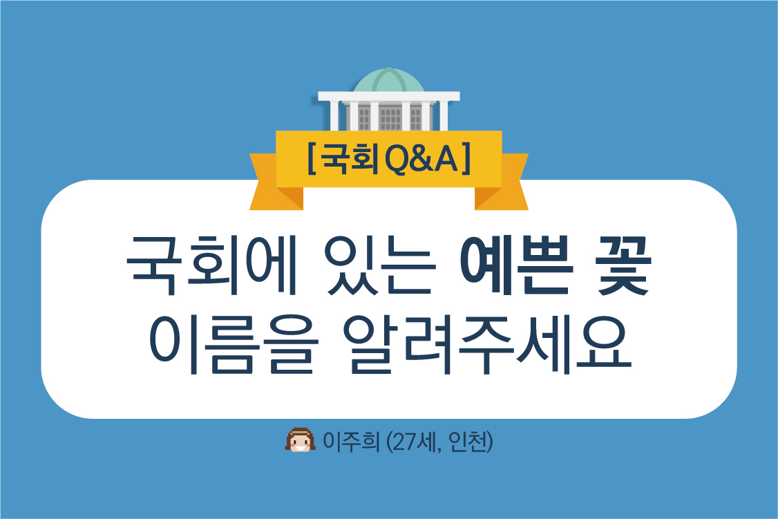 180612 국회Q&A-01.jpg
