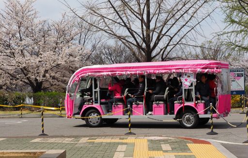 국회를 찾은 시민들이 희망e카·사랑e카를 타고 국회 경내를 둘러보고 있다. 희망e카·사랑e카는 국회 공식 캐릭터인 희망이·사랑이를 모태로 만든 전기차다