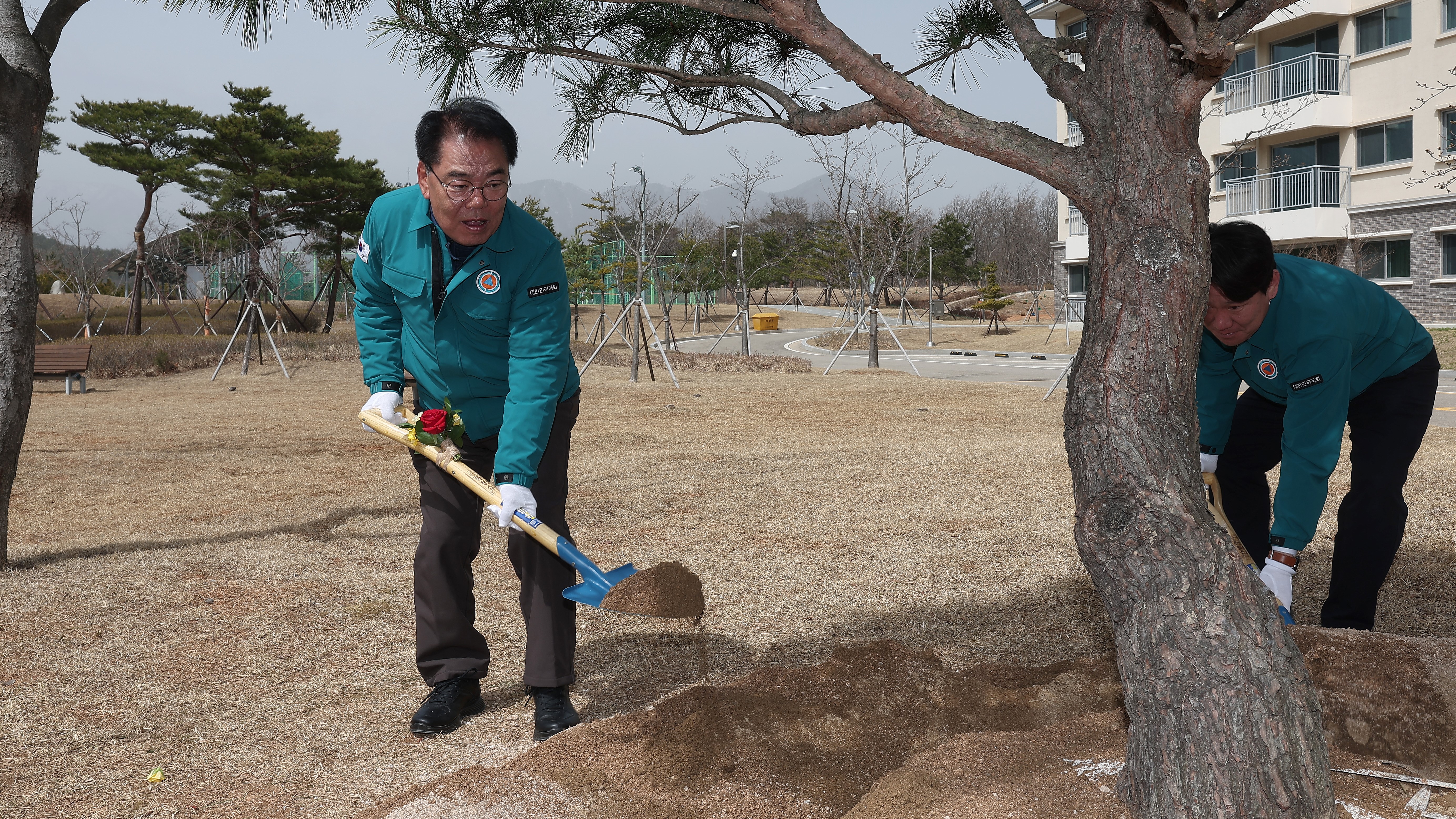 29일(금) 국회고성연수원에서 직원들과 함께 탄소중립을 실천하기 위해 사과나무와 대추나무 묘목 30주를 심고, 소나무 한 그루를 기념식수로 식재했